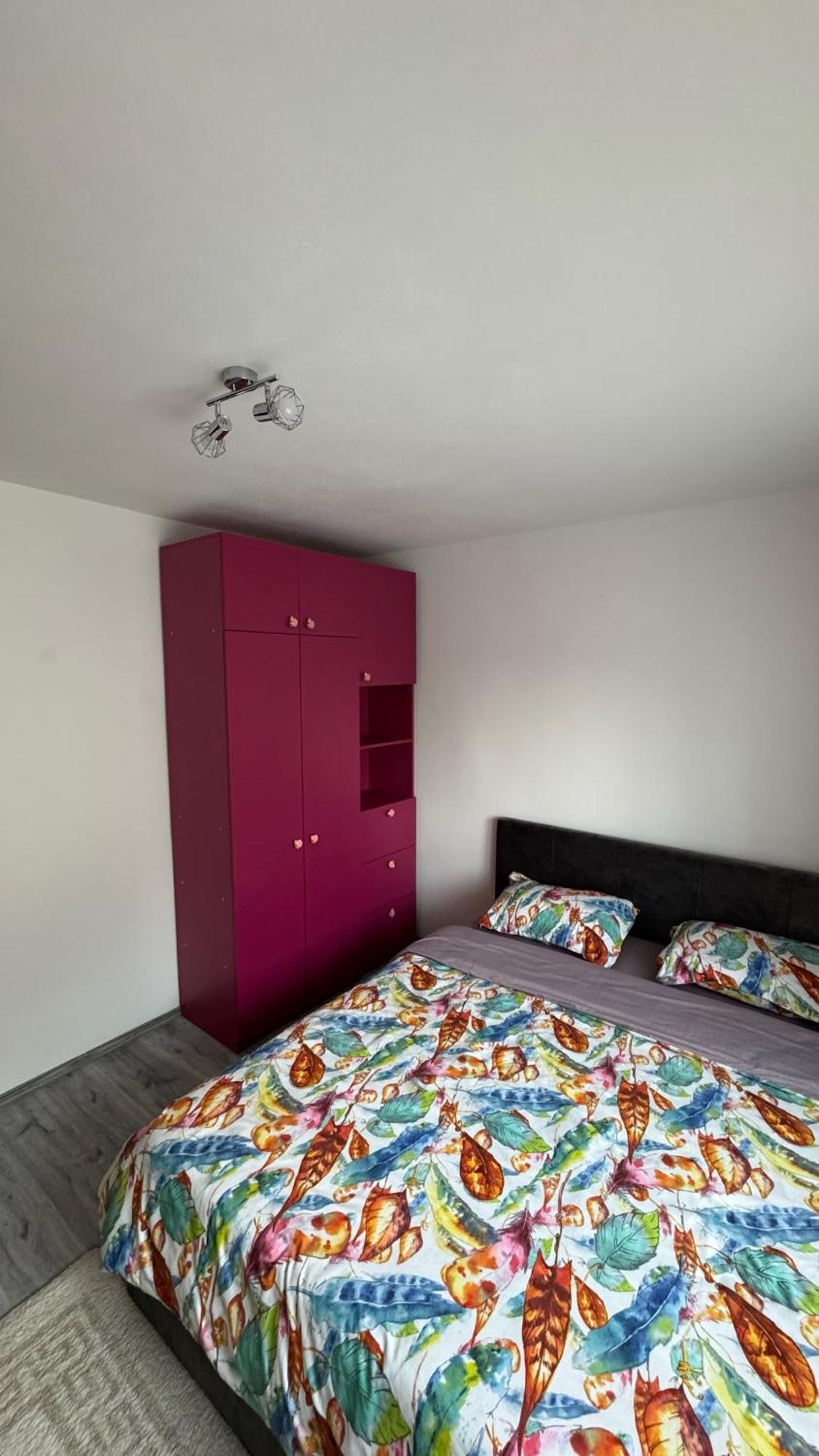 Dragasani Apartament Cozy מראה חיצוני תמונה